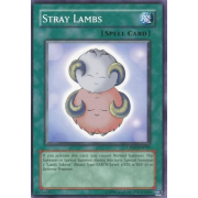 CP02-EN020 Stray Lambs Commune