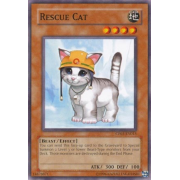 CP05-EN015 Rescue Cat Commune