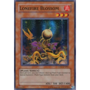 CP07-EN005 Lonefire Blossom Super Rare