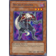 CP08-EN011 Necro Gardna Rare