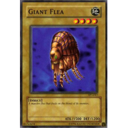 TP1-017 Giant Flea Commune