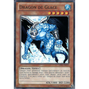 AP01-FR015 Dragon de Glace Commune