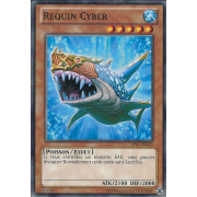 AP01-FR016 Requin Cyber Commune
