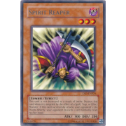 DR1-EN024 Spirit Reaper Rare