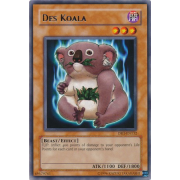 DR1-EN132 Des Koala Rare