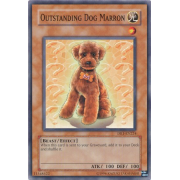 DR1-EN224 Outstanding Dog Marron Commune