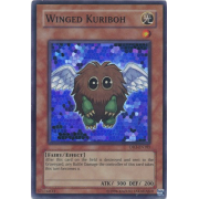 DR3-EN185 Winged Kuriboh Super Rare