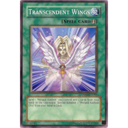 DR04-EN045 Transcendent Wings Commune