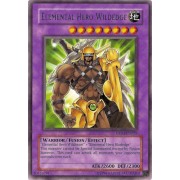 DR04-EN095 Elemental HERO Wildedge Rare