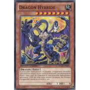 WGRT-FR023 Dragon Hybride Commune