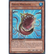 WGRT-FR024 Figue Maudite Super Rare