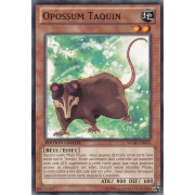 WGRT-FR033 Opossum Taquin Commune