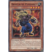 WGRT-FR037 Briseur de Puissance Commune