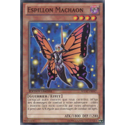 WGRT-FR047 Espillon Machaon Commune