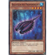 WGRT-FR053 Balayeur des Profondeurs Commune