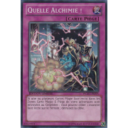 WGRT-FR095 Quelle Alchimie ! Super Rare