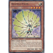 LVAL-FR027 Bujingi Paon Rare