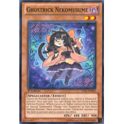 LVAL-EN023 Ghostrick Nekomusume Commune