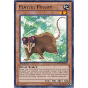 BPW2-EN033 Playful Possum Commune