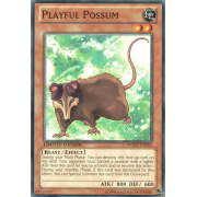 WGRT-EN033 Playful Possum Commune