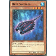 WGRT-EN053 Deep Sweeper Commune