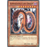 WGRT-EN064 Schwarzschild Limit Dragon Commune