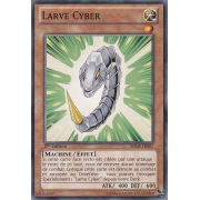 SDCR-FR007 Larve Cyber Commune