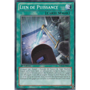 SDCR-FR022 Lien de Puissance Commune