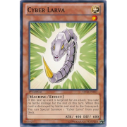 SDCR-EN007 Cyber Larva Commune