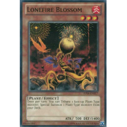 AP04-EN017 Lonefire Blossom Commune