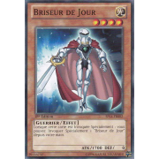 SP14-FR002 Briseur de Jour Commune