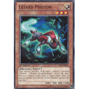 SP14-FR006 Lézard Photon Commune