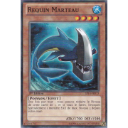 Requin Marteau