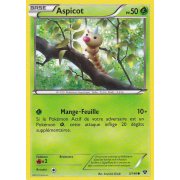 XY1_3/146 Aspicot Commune