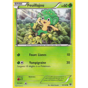 XY1_10/146 Feuillajou Commune