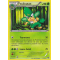 XY1_11/146 Feuiloutan Rare