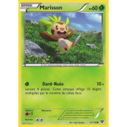 XY1_12/146 Marisson Commune