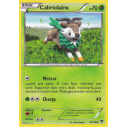 XY1_18/146 Cabriolaine Commune