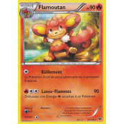 XY1_23/146 Flamoutan Rare