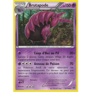 XY1_53/146 Brutapode Rare