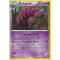 XY1_53/146 Brutapode Rare