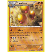 XY1_59/146 Triopikeur Rare