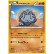 XY1_60/146 Rhinocorne Commune