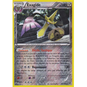 Exagide