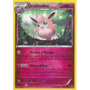 XY1_89/146 Grodoudou Rare