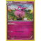 XY1_93/146 Cocotine Holo Rare