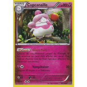 XY1_95/146 Cupcanaille Holo Rare