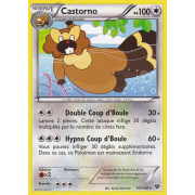 XY1_107/146 Castorno Rare