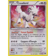 XY1_114/146 Couafarel Holo Rare