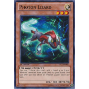 SP14-EN006 Photon Lizard Commune